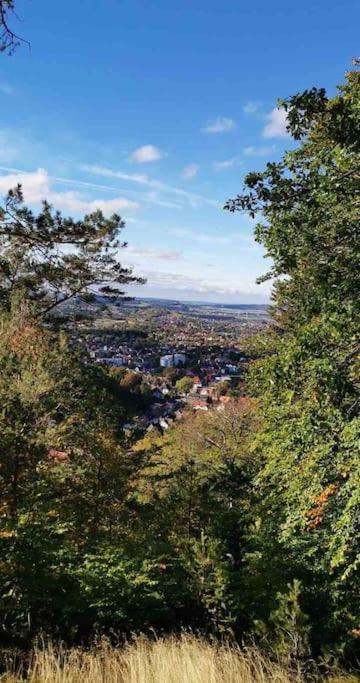 Ferienwohnung Am Burgberg In Bad Harzburg Kültér fotó